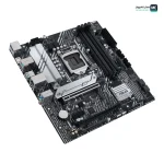 ASUS PRIME B560M-A Down Side