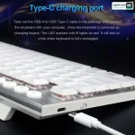 Horus TKL K621 white RGB Type-C Charging Port