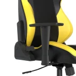 نمای شماره 6 صندلی گیمینگ دی ایکس ریسر Drifting Series 2023 XL Yellow